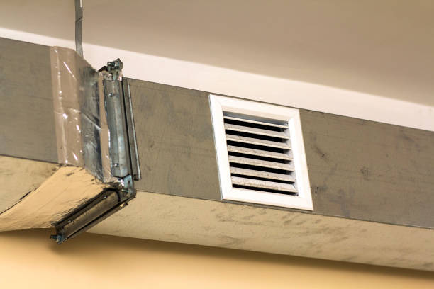 Best Residential Air Duct Cleaning  in Eagar, AZ